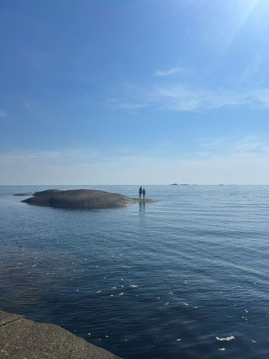 En person som står på en stein i vannet En person som står på en stein i vannet